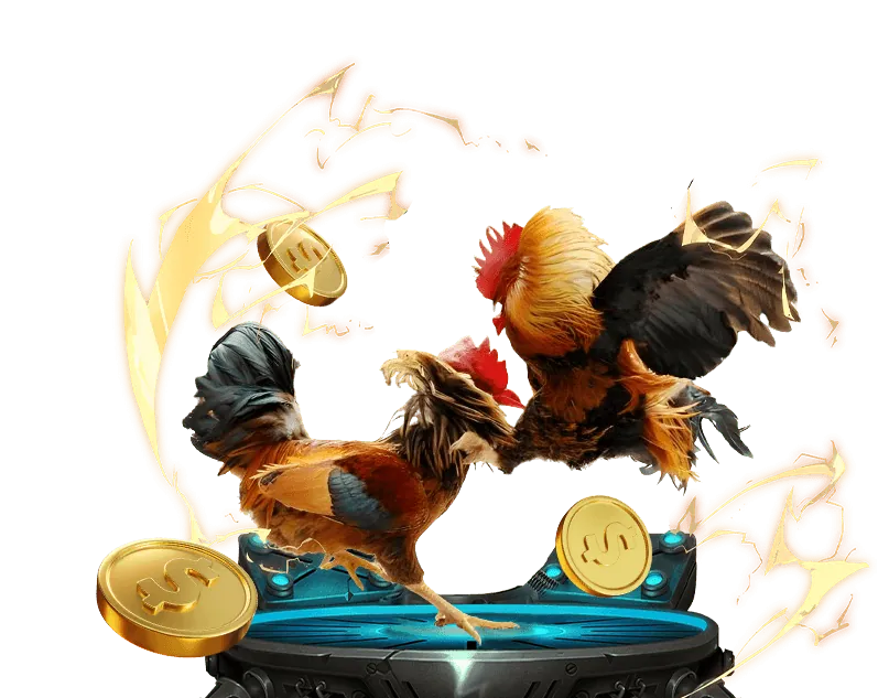 Các chương trình đối tác của đá gà trực tiếp cpc2